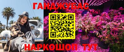 СК Конаково